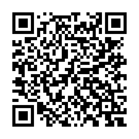 QR code for plate G91-NOK