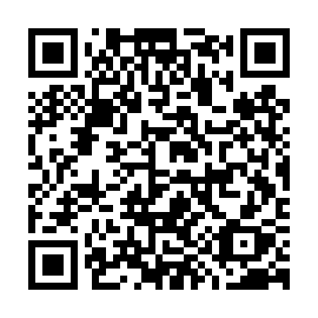 QR code for plate G93-DSX