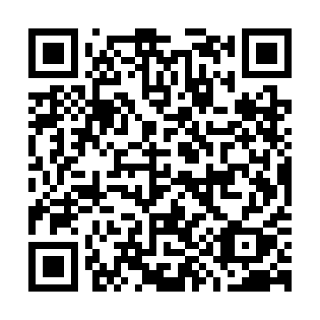 QR code for plate G95-SAY