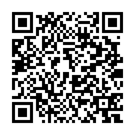 QR code for GC3-P313