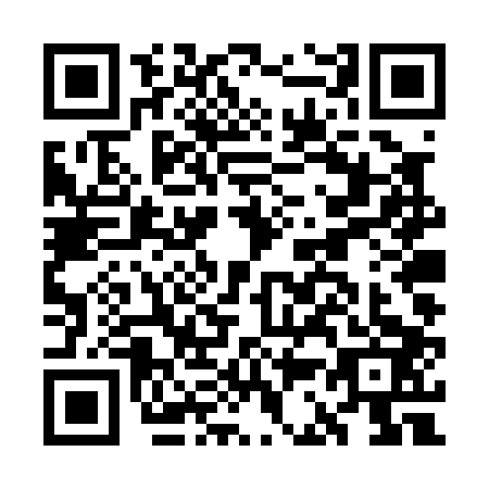 QR code for GC4P038