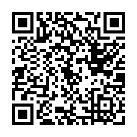 QR code for plate GC4-R313