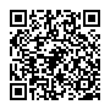 QR code for plate GD4-X806