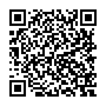QR code for GDM-919