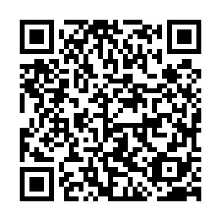 QR code for plate GDZ-578