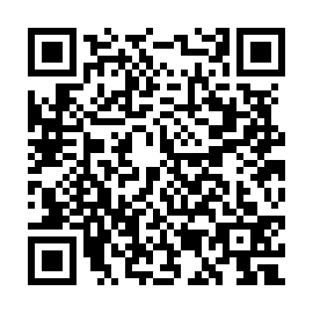 QR code for GE3-N339
