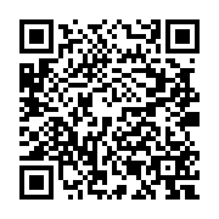 QR code for plate GE9-P538