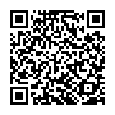QR code for GIN-789