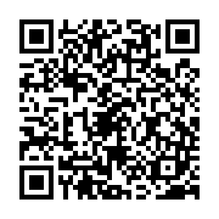 QR code for plate GN2-U438