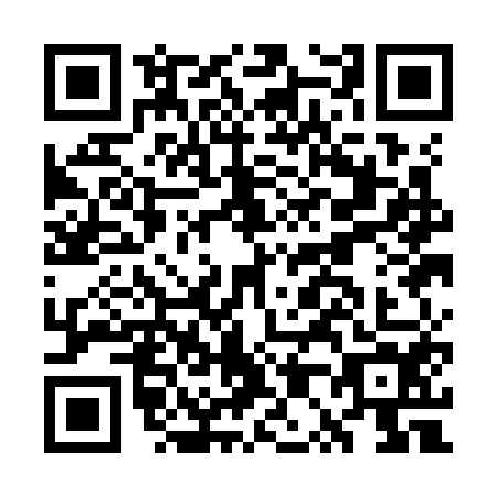 QR code for plate GP1-K541