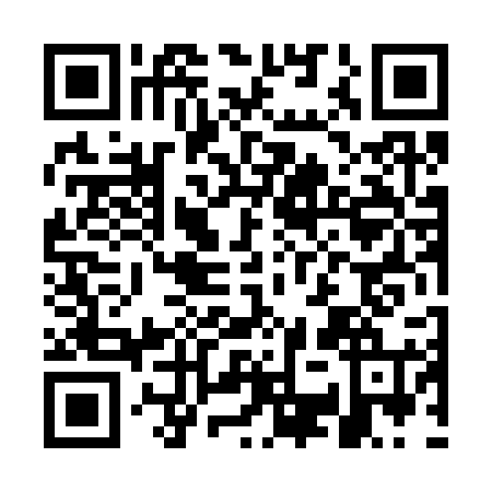 QR code for plate GST-3249