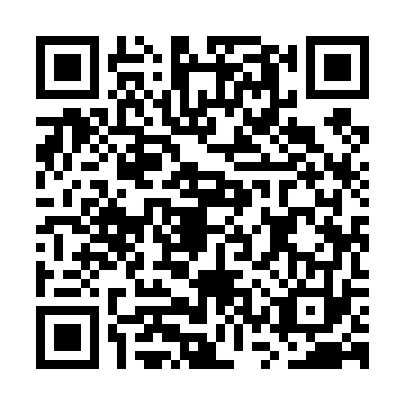 QR code for plate GSY-4732