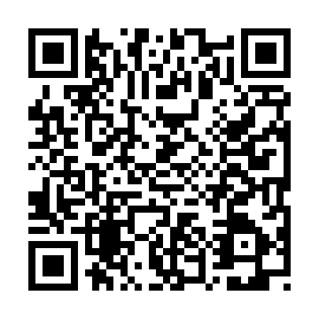 QR code for GUI4875
