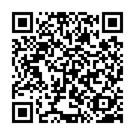 QR code for GUO-729