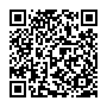 QR code for H01-DZT