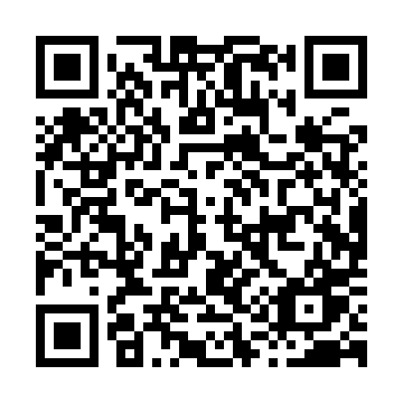 QR code for plate H10-YPW