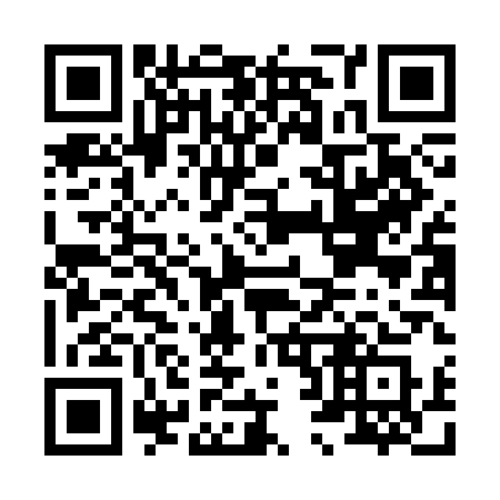 QR code for H28-CAS