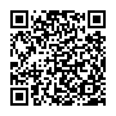 QR code for H29-WIR