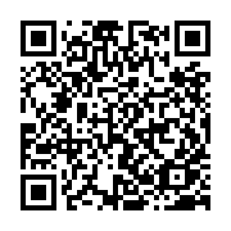 QR code for H29OHP