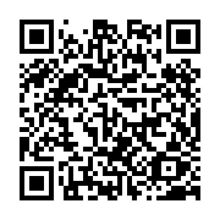 QR code for plate H31-PKZ