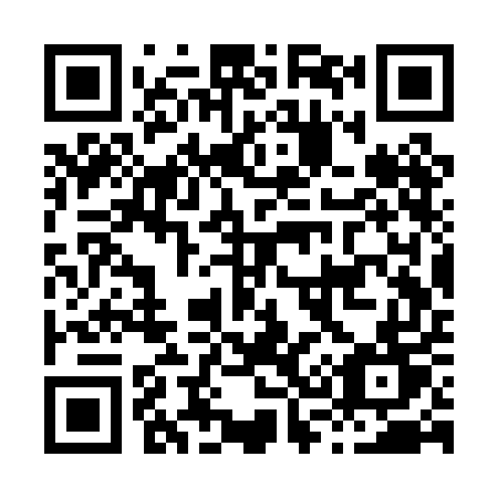 QR code for H33-PET