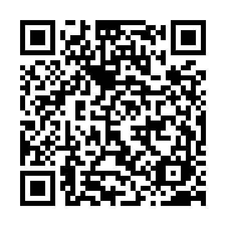 QR code for H41-MVM