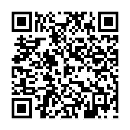 QR code for plate H45-YYQ