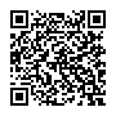 QR code for H46-HIN