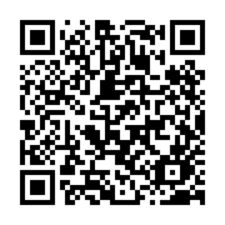 QR code for H46-PEN