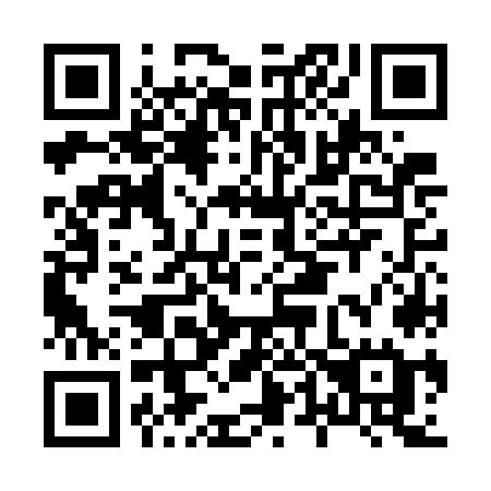 QR code for plate H46-GOE