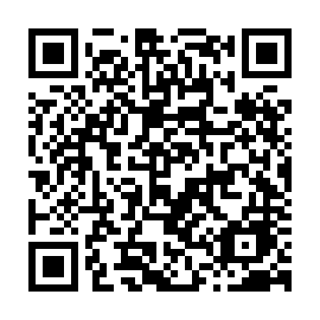 QR code for plate H46-HNE