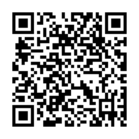 QR code for H55-MSL