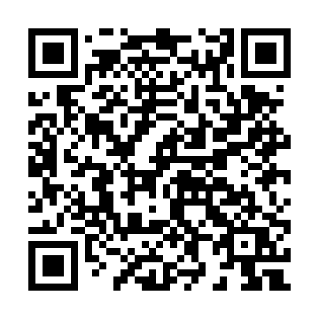 QR code for H81-DPQ