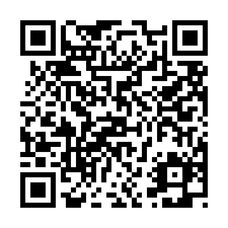 QR code for H91-LIE
