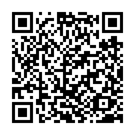 QR code for H96-VTX