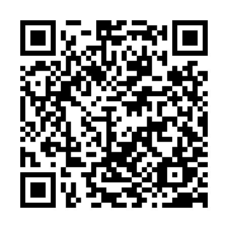 QR code for plate H96-LYT