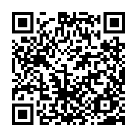 QR code for plate H98-SJT
