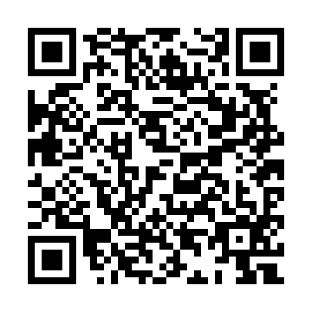 QR code for HD2-N966