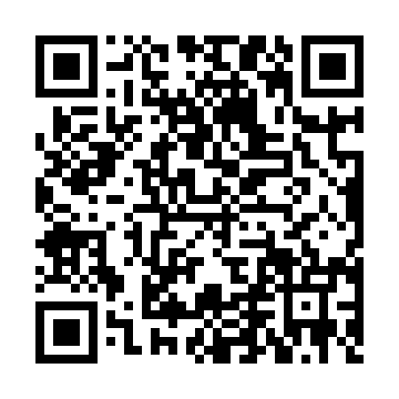 QR code for HDN9955