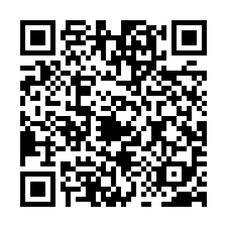 QR code for HE4-Z991