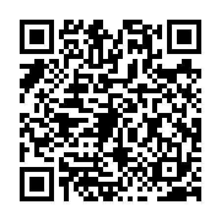 QR code for plate HF0-V335
