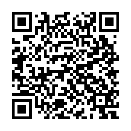 QR code for HFE313
