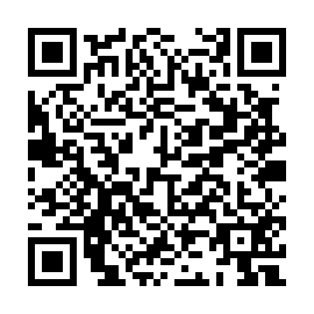 QR code for HJ1-P529