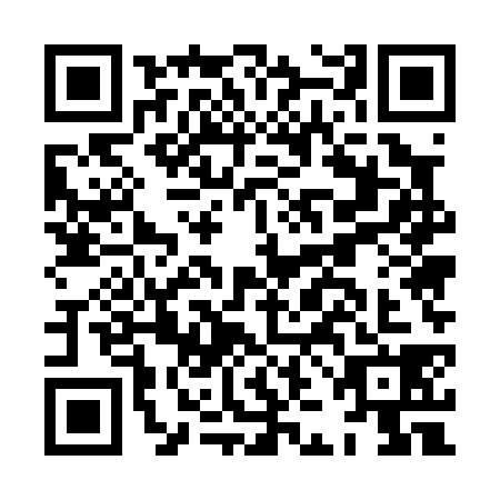 QR code for HJE-0383