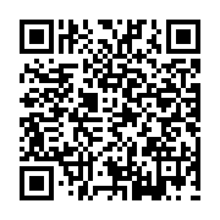 QR code for plate HL1-G959