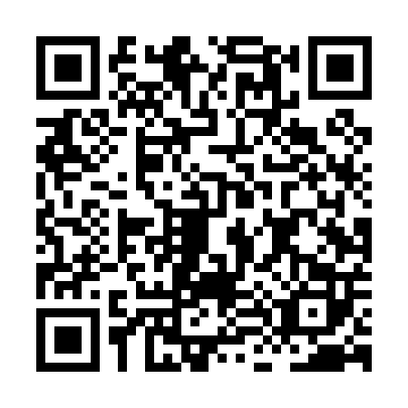 QR code for plate HL4-P020