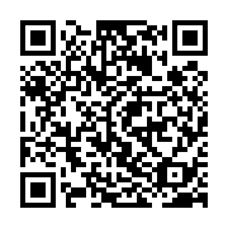 QR code for plate HLG-539
