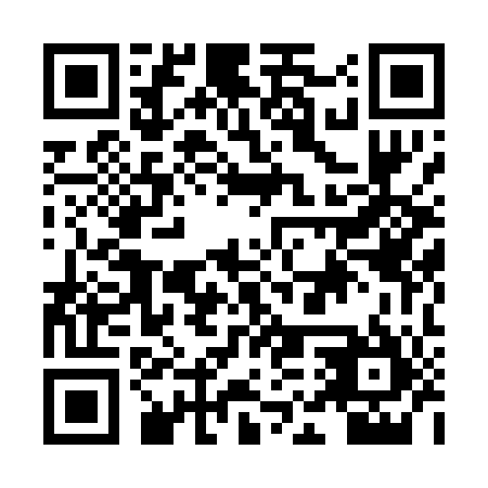QR code for plate HMX-005