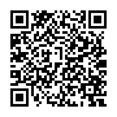 QR code for HN2-Z474