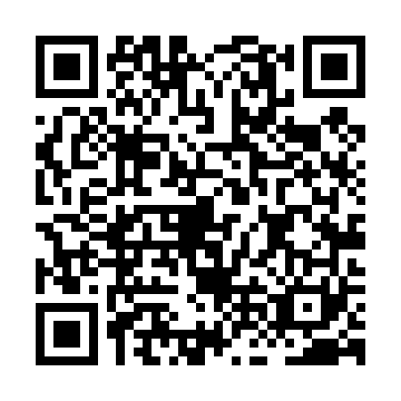 QR code for plate HNL-4617